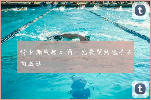 转会期风起云涌，无畏契约选手去向成谜！